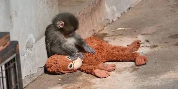 vousjay's tweet image. ยิ่งเห็นคลิปน้องโดนรังแก ยิ่งอีโมกับอะไรแบบนี้มาก กว่าจะโตนะพั้นจิคุง 😭😭😭😭😭😭😭