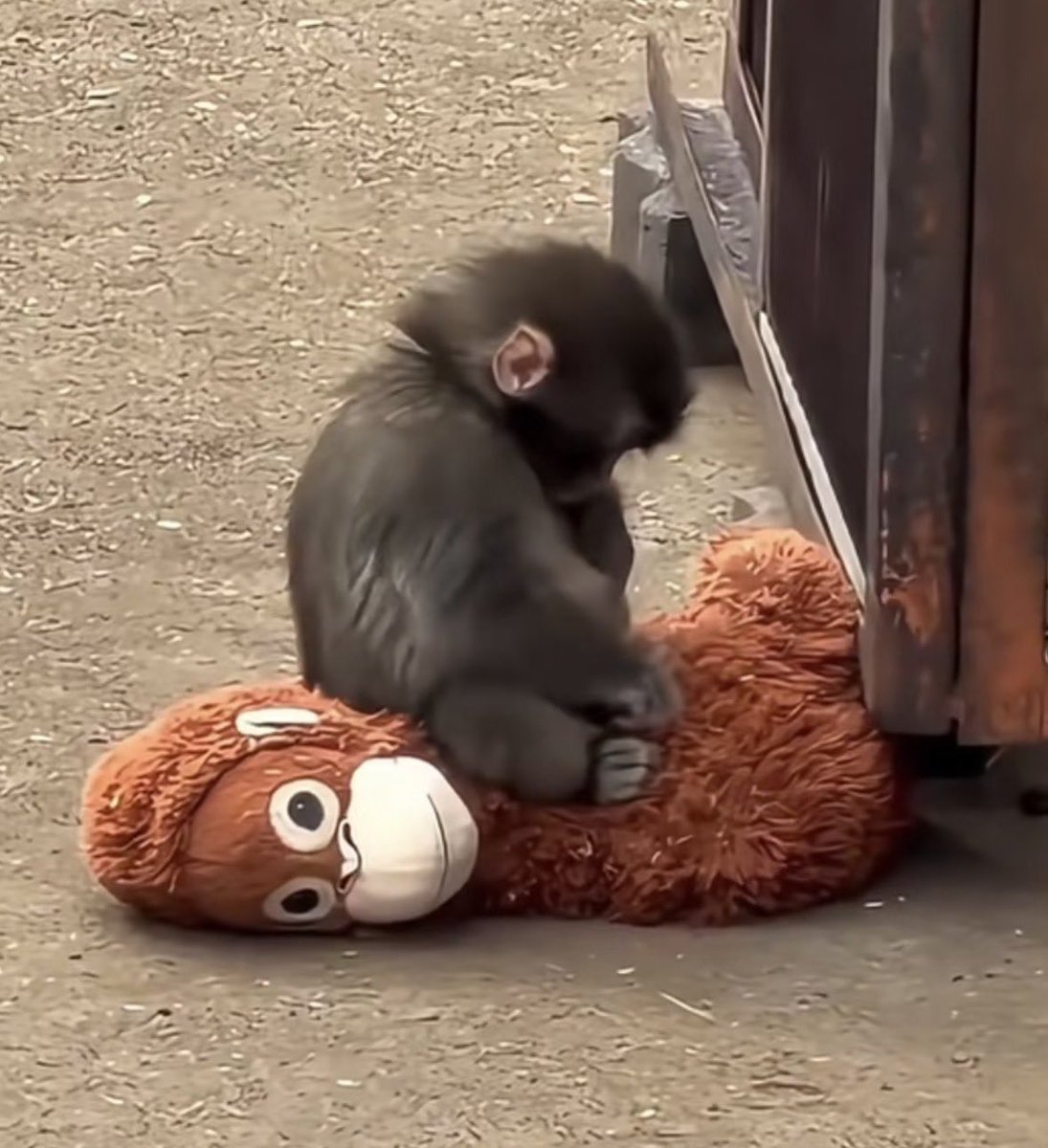 vousjay's tweet image. ยิ่งเห็นคลิปน้องโดนรังแก ยิ่งอีโมกับอะไรแบบนี้มาก กว่าจะโตนะพั้นจิคุง 😭😭😭😭😭😭😭