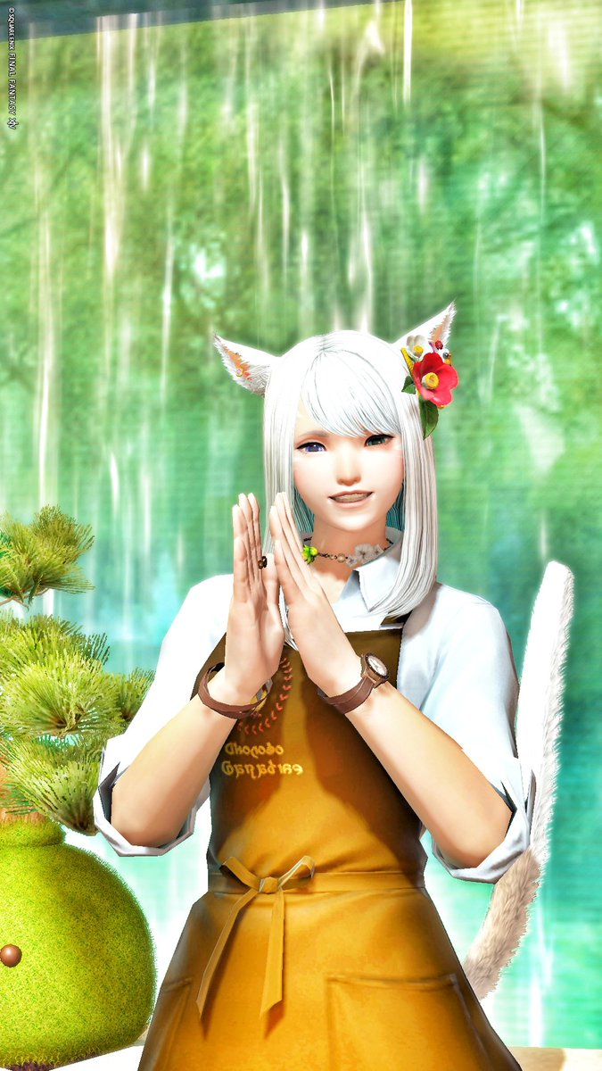 ❥❥ᴳᴼᴼᴰ ᴹᴼᴿᴺᴵᴺᴳ໒꒱⋆ﾟ
不定期なカフェを毎週やろうかなと考えていて、昨日は告知の為のSSを撮ってきました！
多分土日のどちらかにやるかな？？
いつもの写真屋さんも一緒です。
営業したら遊びに来て下さいね！
今日も優しさが降り注ぐ日になります様に！

#FF14  #鼻黒ッテ #おはミコ