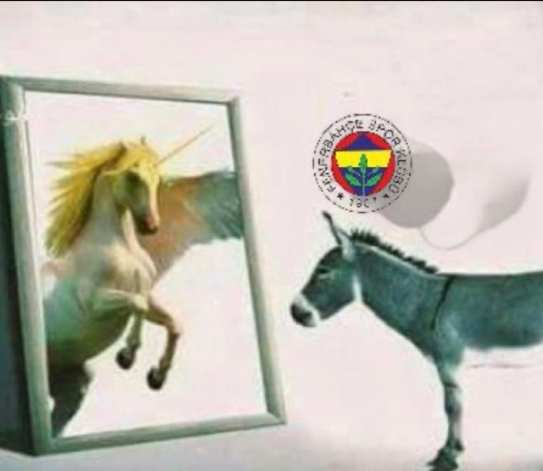 se1imG0TY tweet media