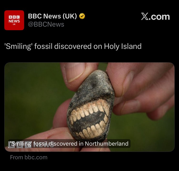 weird medieval guys tweet media