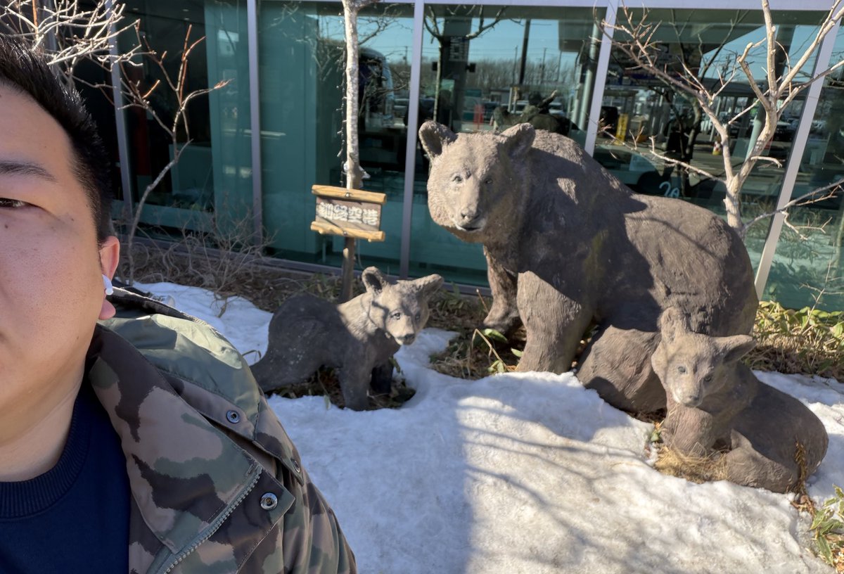 Post by な👹 on X: くま🐻