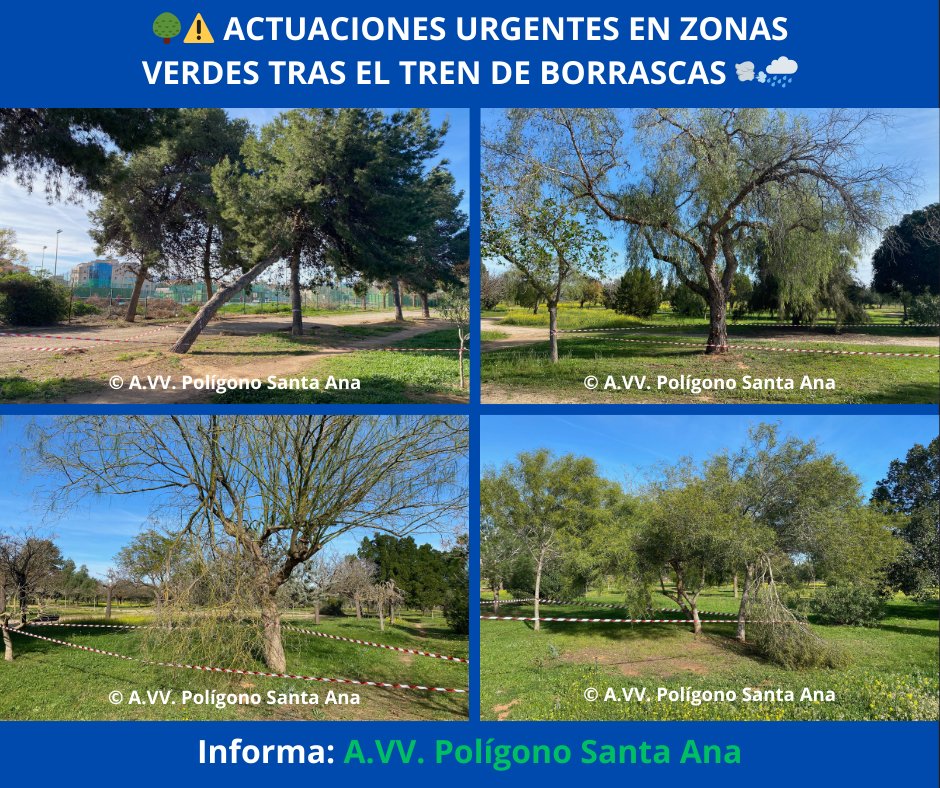 avvpsa's tweet photo. 🌳⚠️ Tras el tren de borrascas y el cierre preventivo de parques, el Área de Parques y Jardines del Ayuntamiento de Cartagena ha actuado retirando ramas y asegurando árboles con riesgo de caída.

👏 Gracias

#avvpoligonosantaana #FAVECIP #clubmayoresmayorazgo #AytoCartagenaES https://t.co/B05xWp4QZY