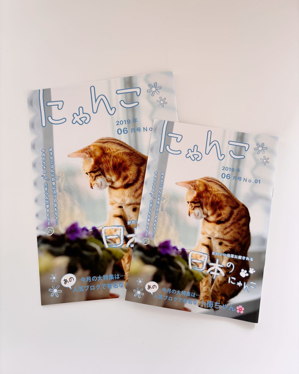 Mags_Inc's tweet photo. 🐱✨ #にゃんにゃん #ねこの日 ✨🐱
#2月22日 にゃんにゃんにゃんのねこの日🐾

いつもそばで癒してくれてありがとう。
気まぐれだけど甘えんぼ、
ツンデレだけど世界一かわいい存在

そんな愛しい毎日を
ぎゅっとまとめました📖📅📚🖼💛
#magsinc #マグズインク

https://t.co/Ugtmrjdu4t https://t.co/lQopxp2c1N