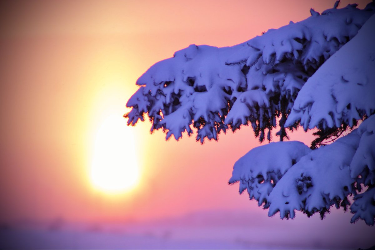 Swirl_Tainment's tweet image. When you all have those tornados Im getting these insane winter sunsets
#WX #NDWX #wintersunset #Weather