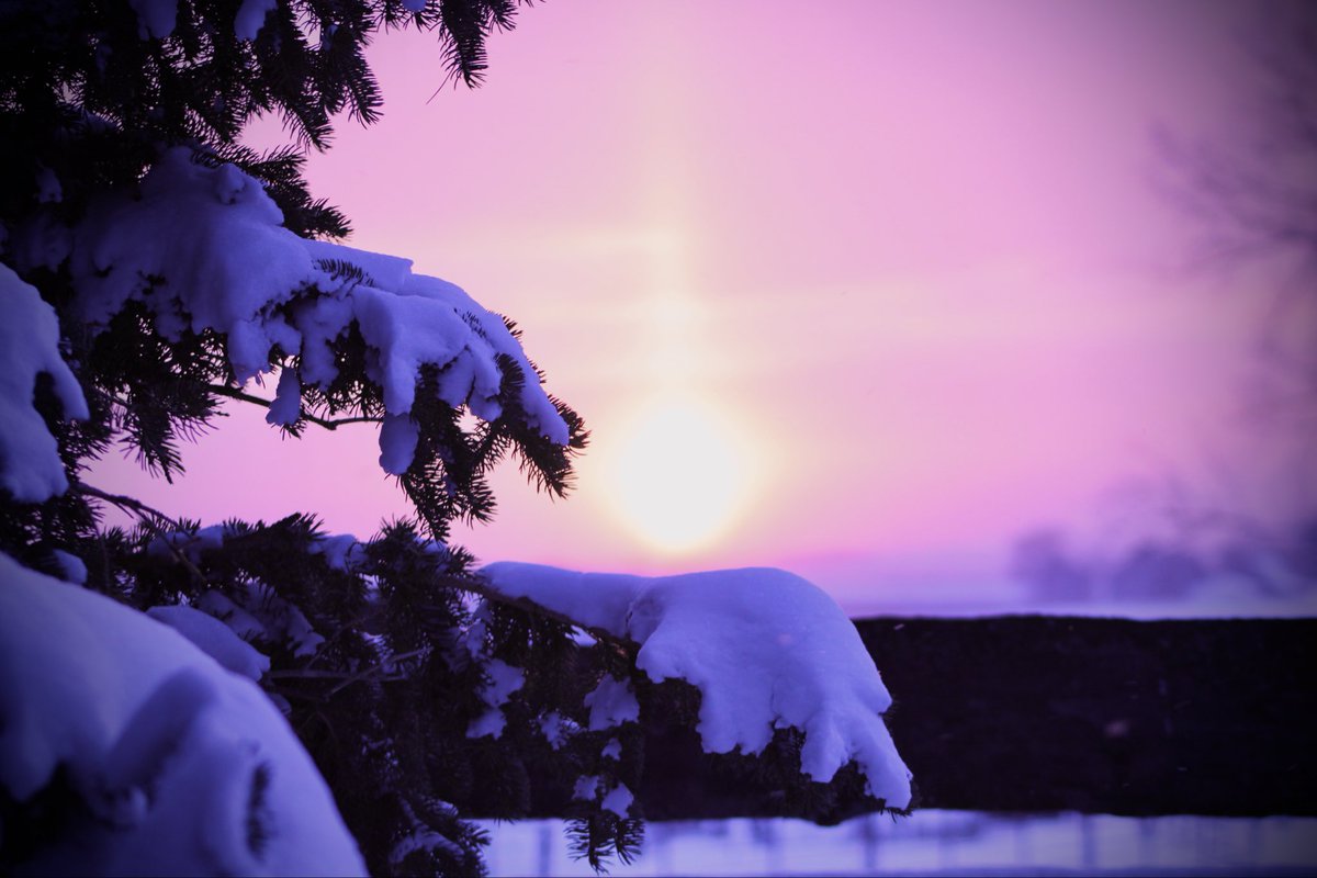 Swirl_Tainment's tweet image. When you all have those tornados Im getting these insane winter sunsets
#WX #NDWX #wintersunset #Weather