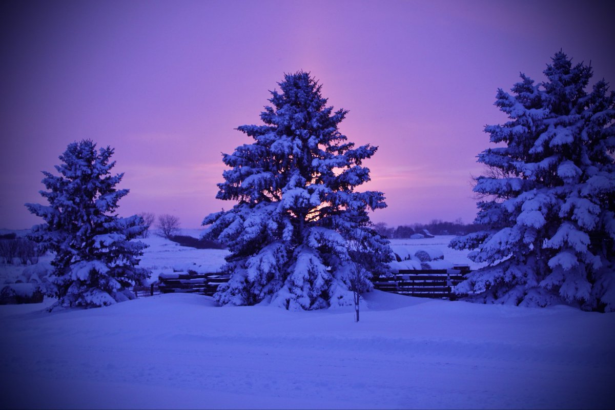 Swirl_Tainment's tweet image. When you all have those tornados Im getting these insane winter sunsets
#WX #NDWX #wintersunset #Weather
