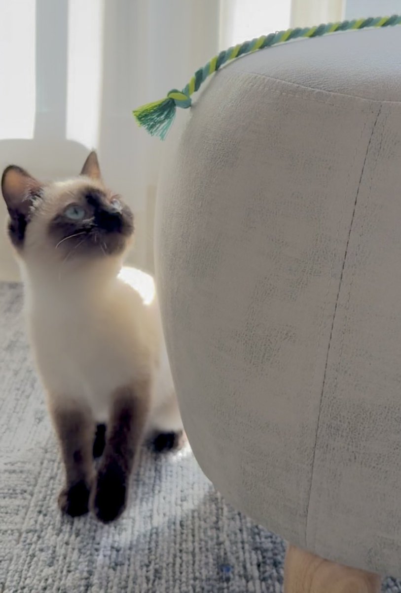 おはようございます☀