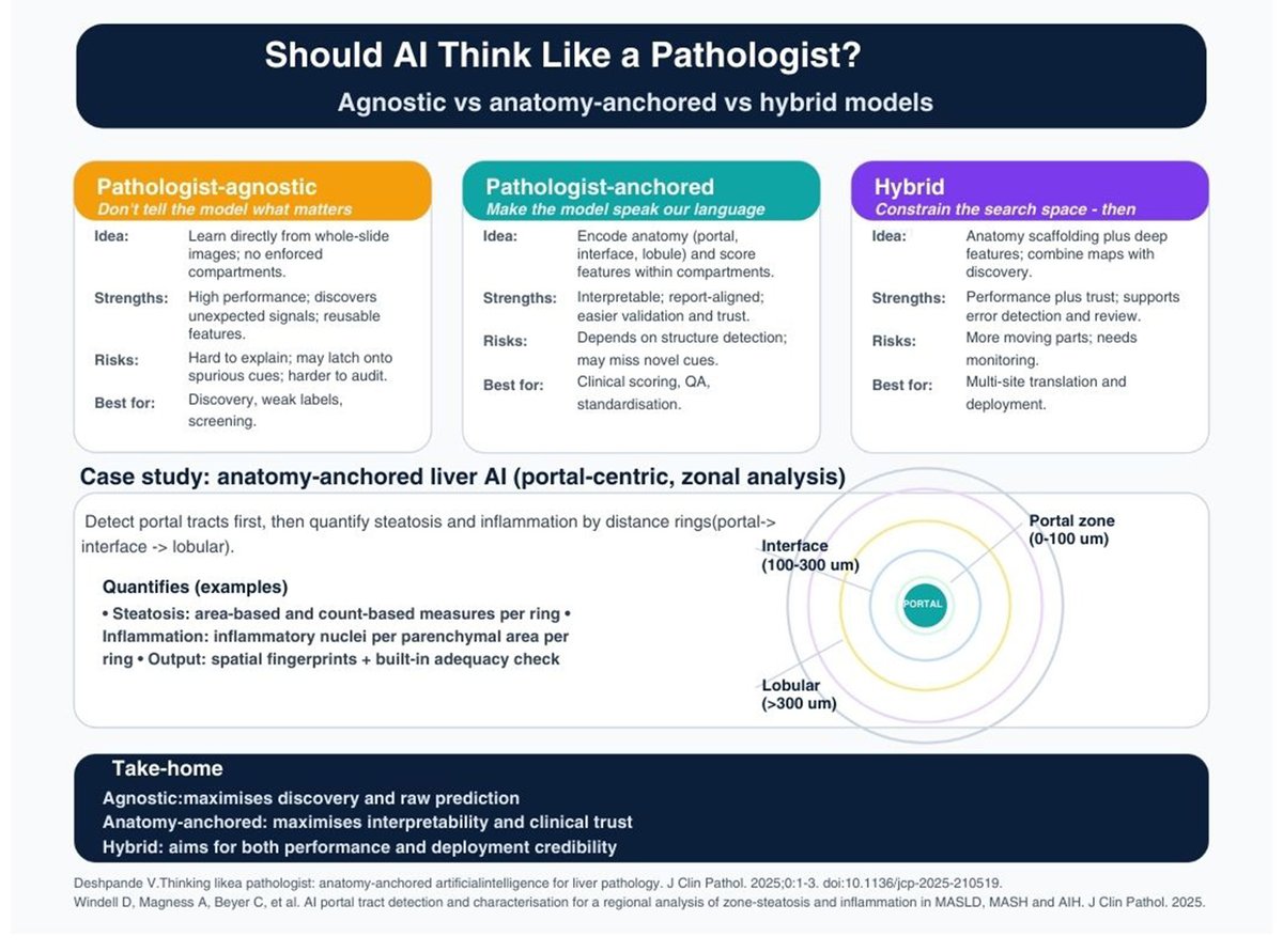 JClinPath_BMJ's tweet photo. Should AI be made to think like a pathologist?
https://t.co/pYsUNdexOZ
https://t.co/aElBjjFVyg https://t.co/VF2RadTlK8