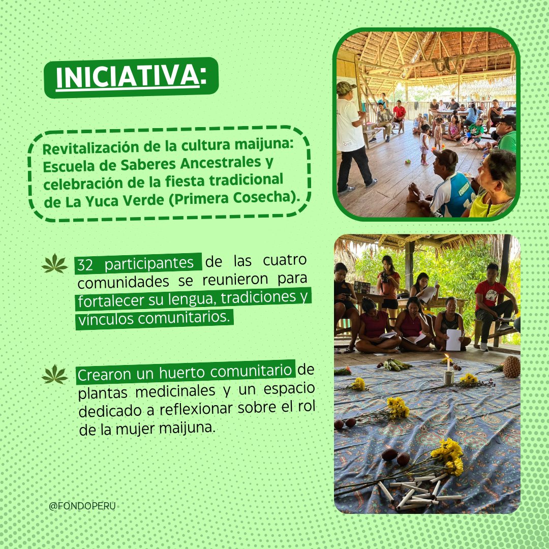 PeruFondo's tweet photo. Comunidad Maijuna comparte sus saberes ancestrales, historias y memorias con las nuevas generaciones
📖🍃 Gracias a la Escuela de Saberes Ancestrales; niños, jóvenes y adultos compartieron juntos el aprendizaje del maijɨki. #fondoperú #AcompañandoCaminos . https://t.co/TM22kaHtjJ