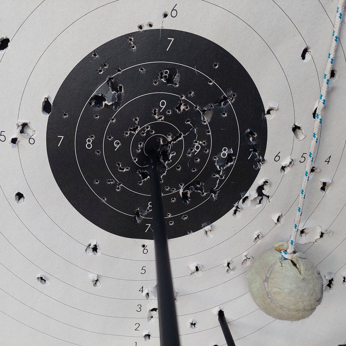 Sometimes I can't believe that I do archery
