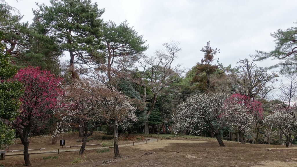 殿ヶ谷戸庭園 (@TonogayatoTeien) / Posts / X