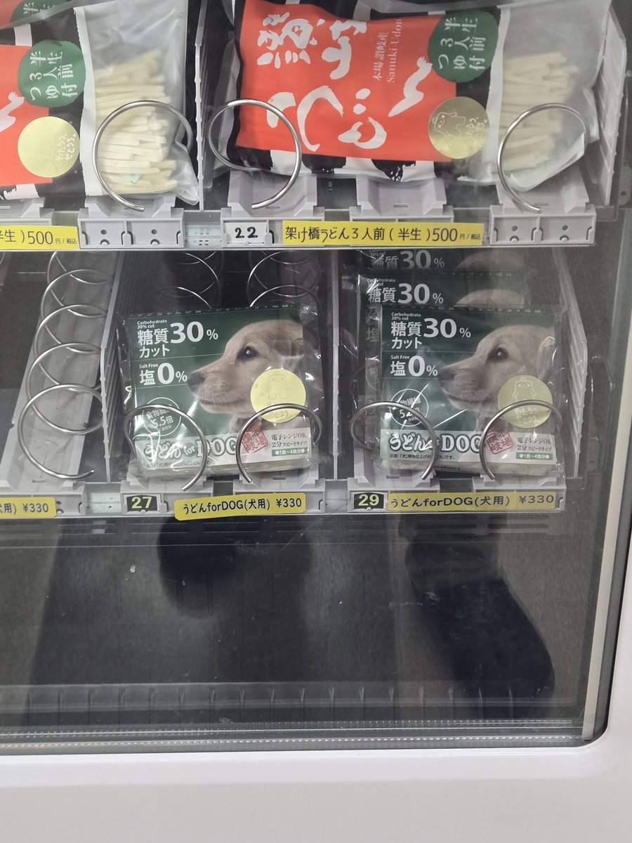 さすが香川県。⁡ ⁡犬用うどん🐶