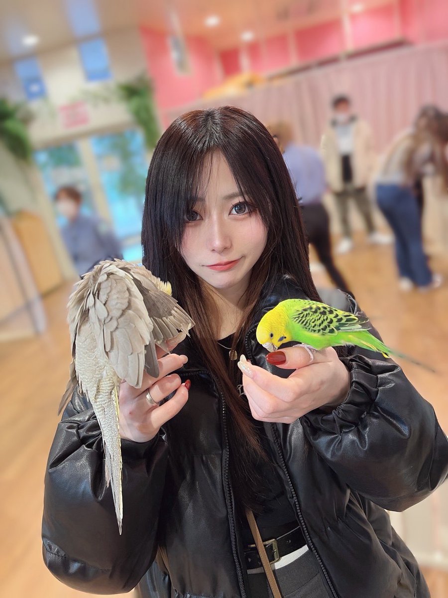 ゆんちゃろ🎮🐾 (@__Yun43) / Posts / X