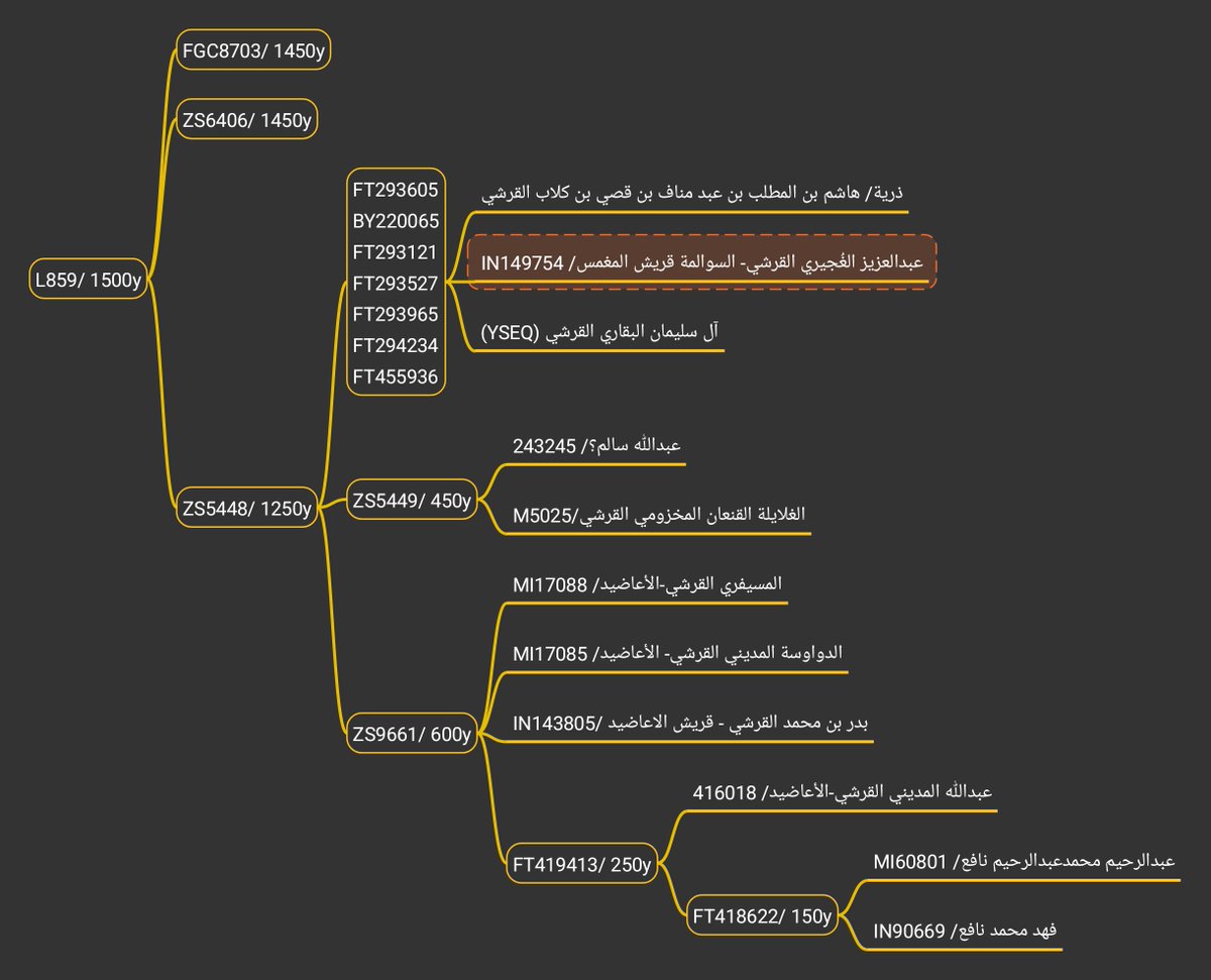 دَهَّاش tweet media