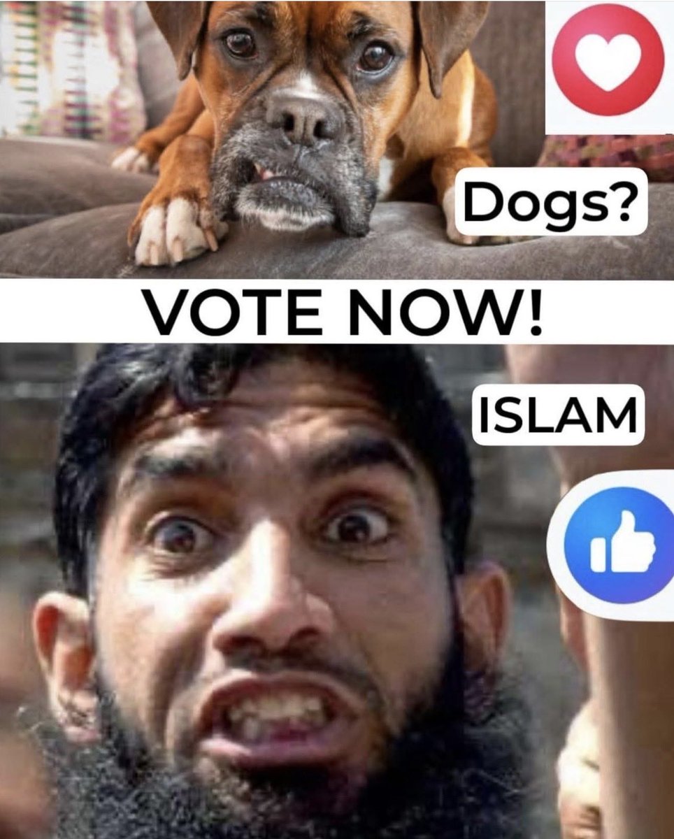 Unite_Republicans_Lets take back America. tweet media