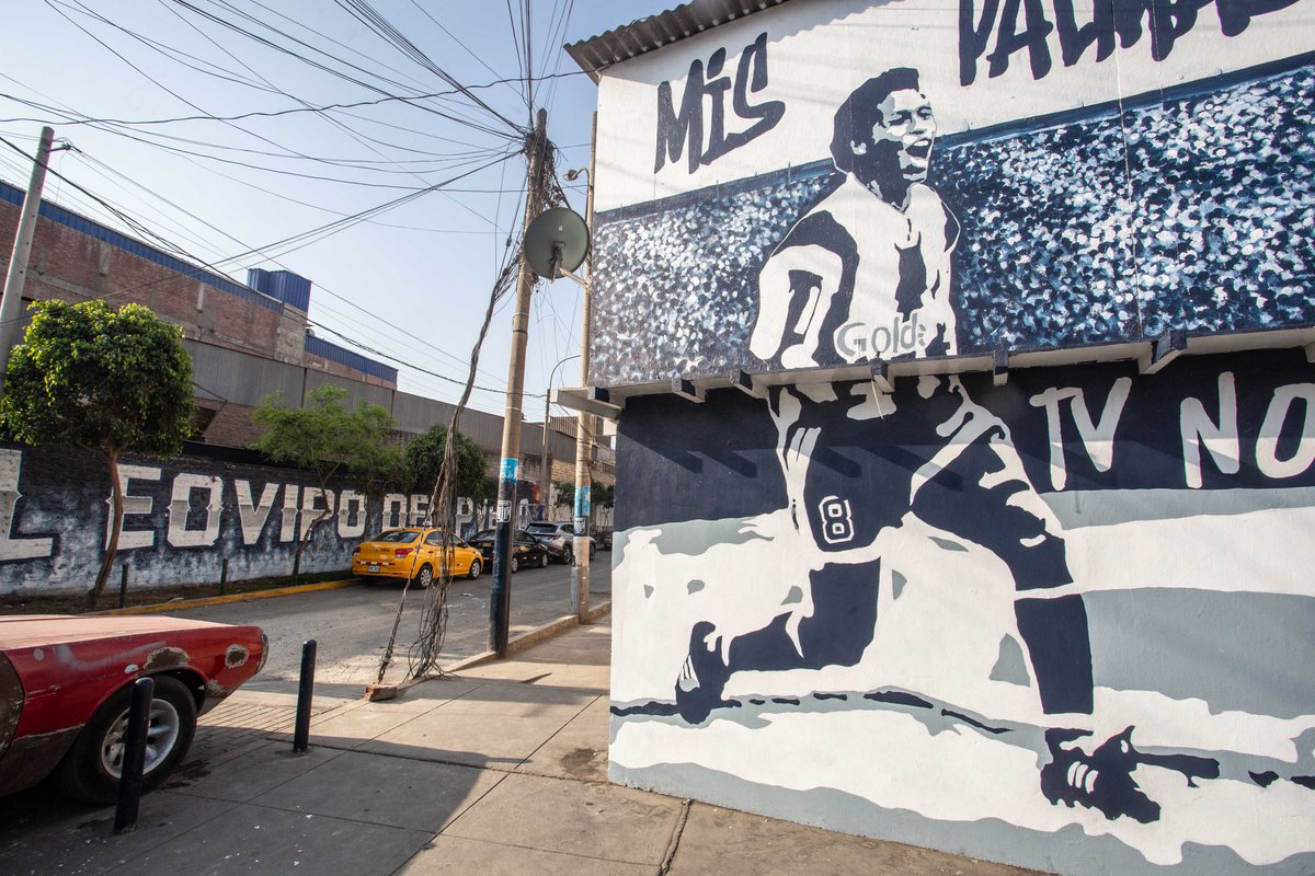 Todas Las Sangres 1901 tweet media