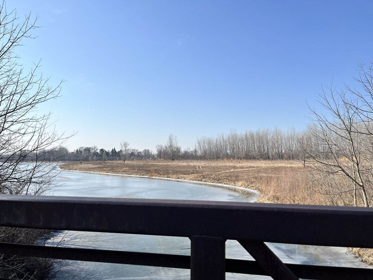 rick o'shea tweet media