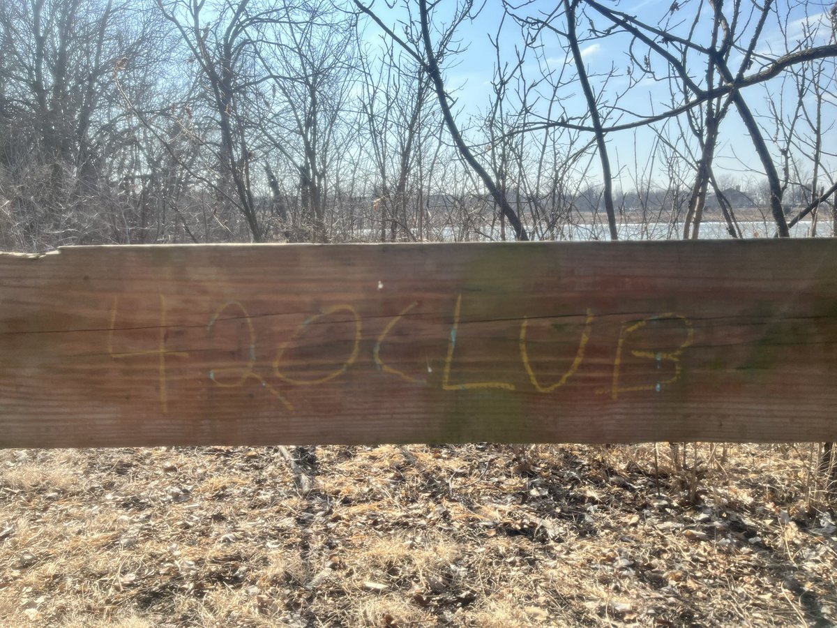 rick o'shea tweet media