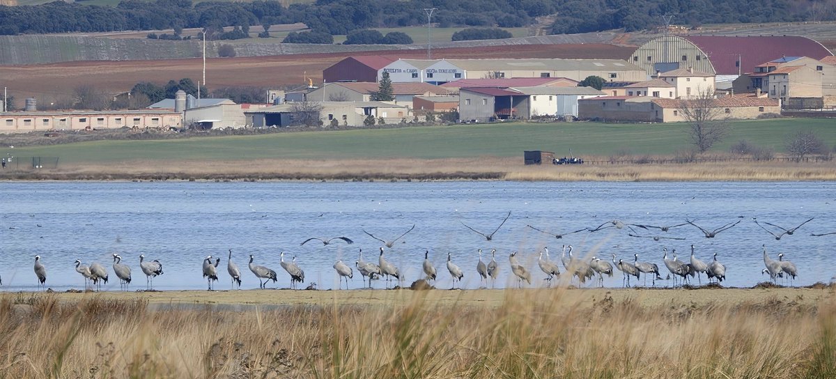 Manuel (@manuel41195697) on Twitter photo 