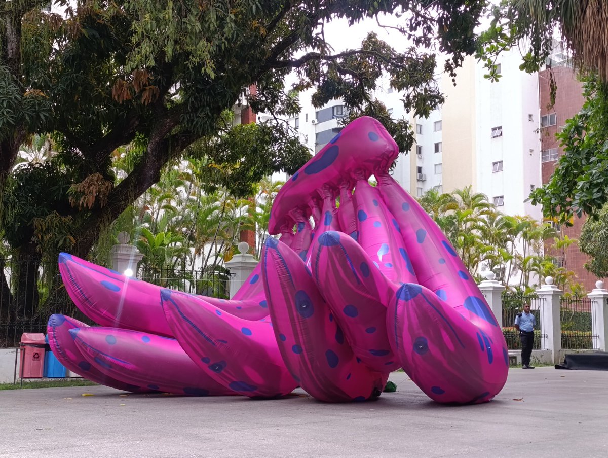 IPAC Bahia tweet media