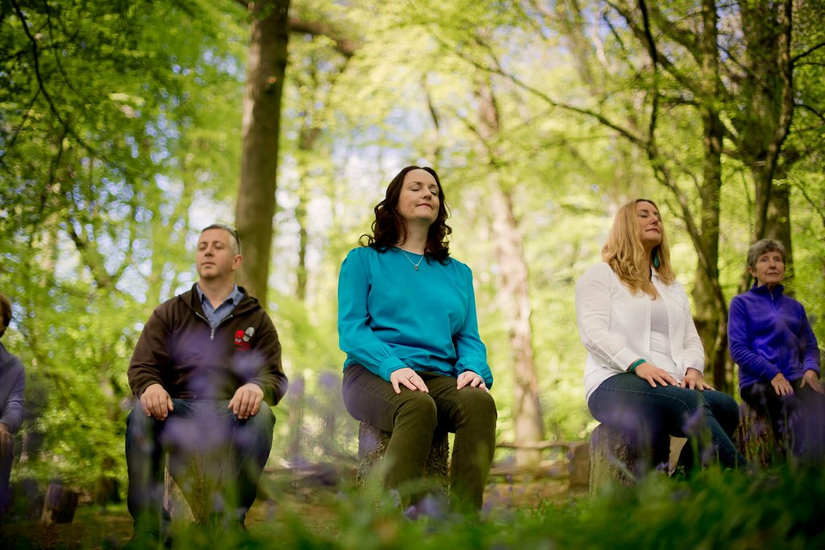 Ann Ward tweet media