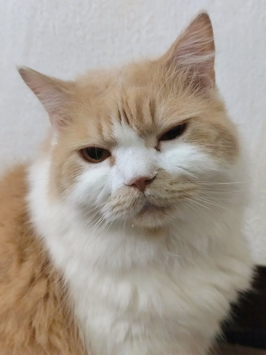 📢 SaAaHuuURrr Day 2 🥁

Wjah2 shur hari kedua, nanang rajin udh segar siap shur, si mocdut prengat prengut bru bngun dngan nces nya itu 🫵🏻