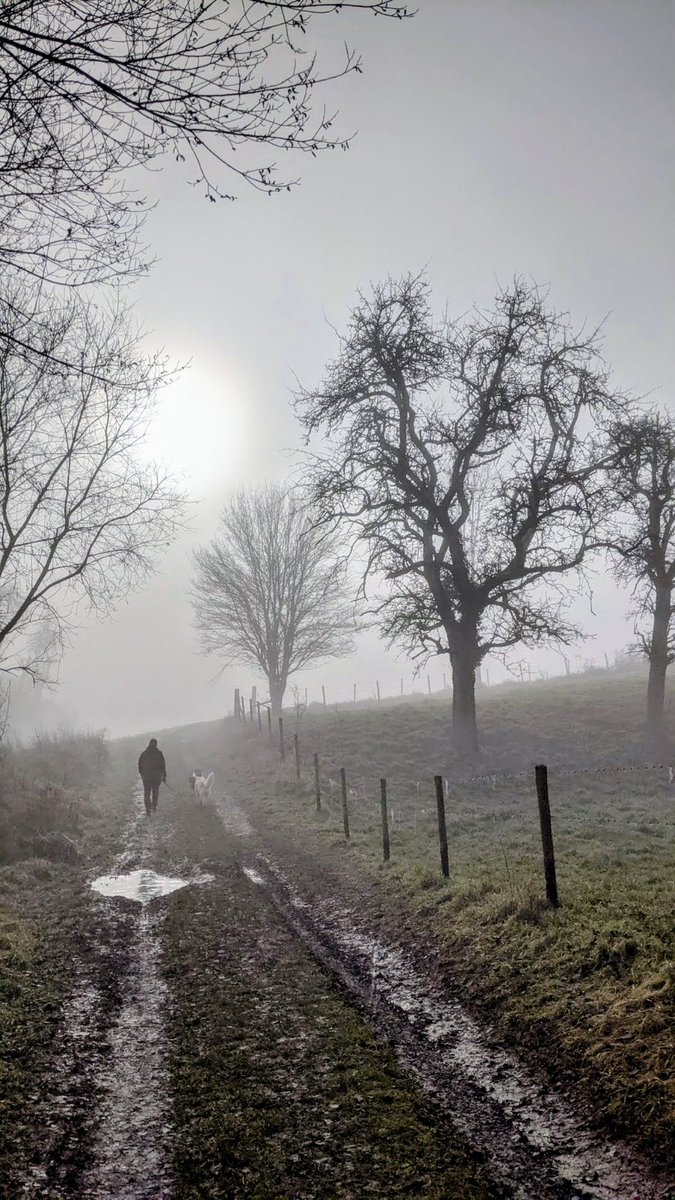 markmay2hew's tweet photo. Dog walkers walk in any weather. Tomorrow isn't guaranteed x https://t.co/zrpesRKerx