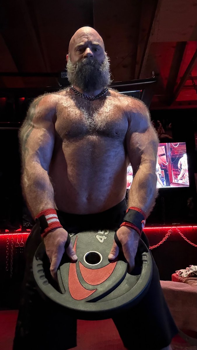 Muscle Bulls™ tweet media