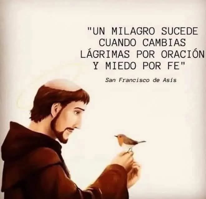 San Francisco de Asis (@frasescatolic00) on Twitter photo 