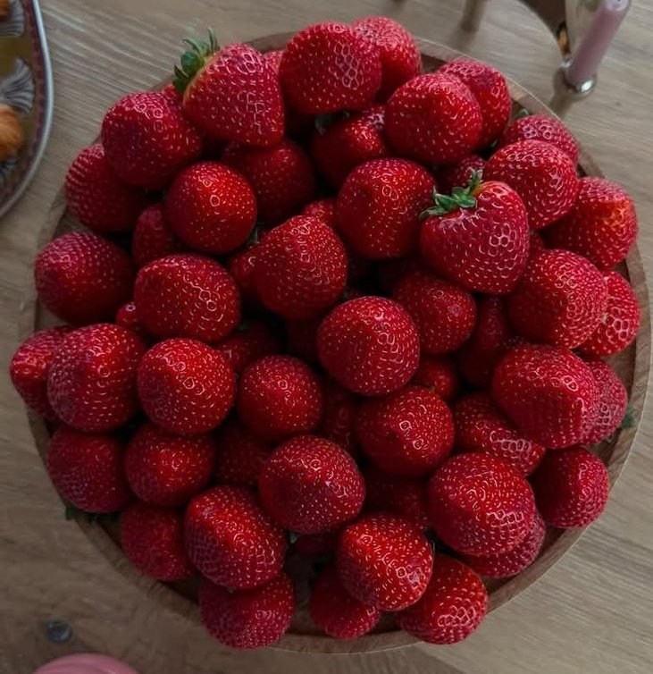 fairyprxncess's tweet image. strawberries or grapes?