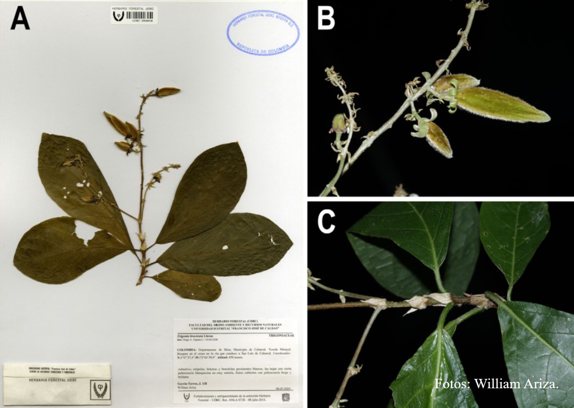 Novatax_Col tweet media