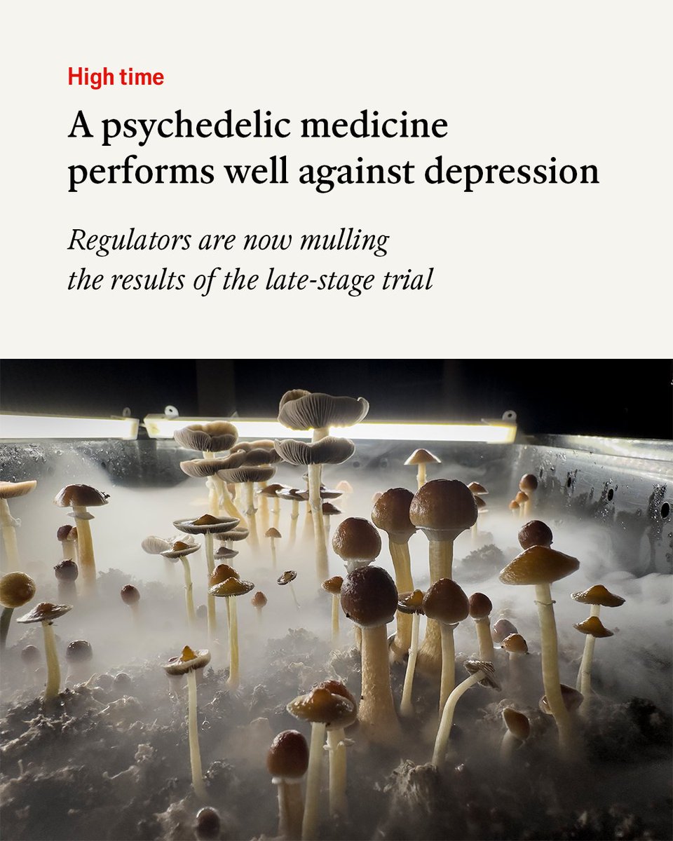 For five years biotech startups have been betting that psychedelic substances could be turned into real medicines. One of them may have hit the jackpot econ.st/4rqmv1w

Photo: Getty Images