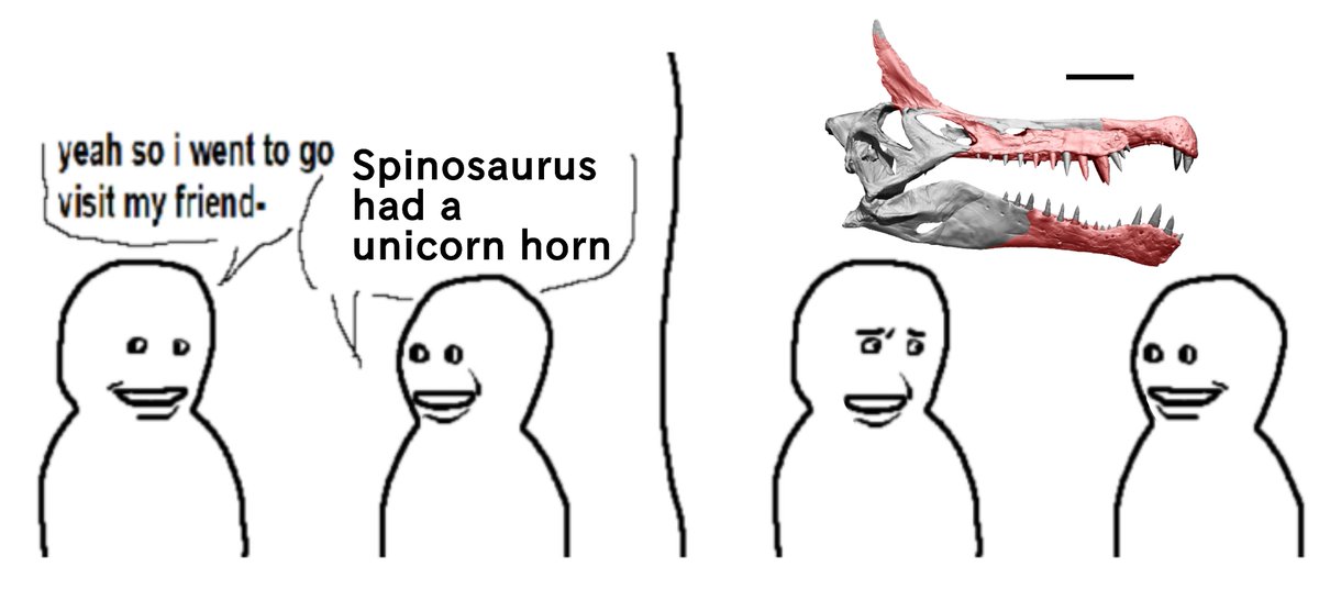 Spinosaurus can't get any weird-