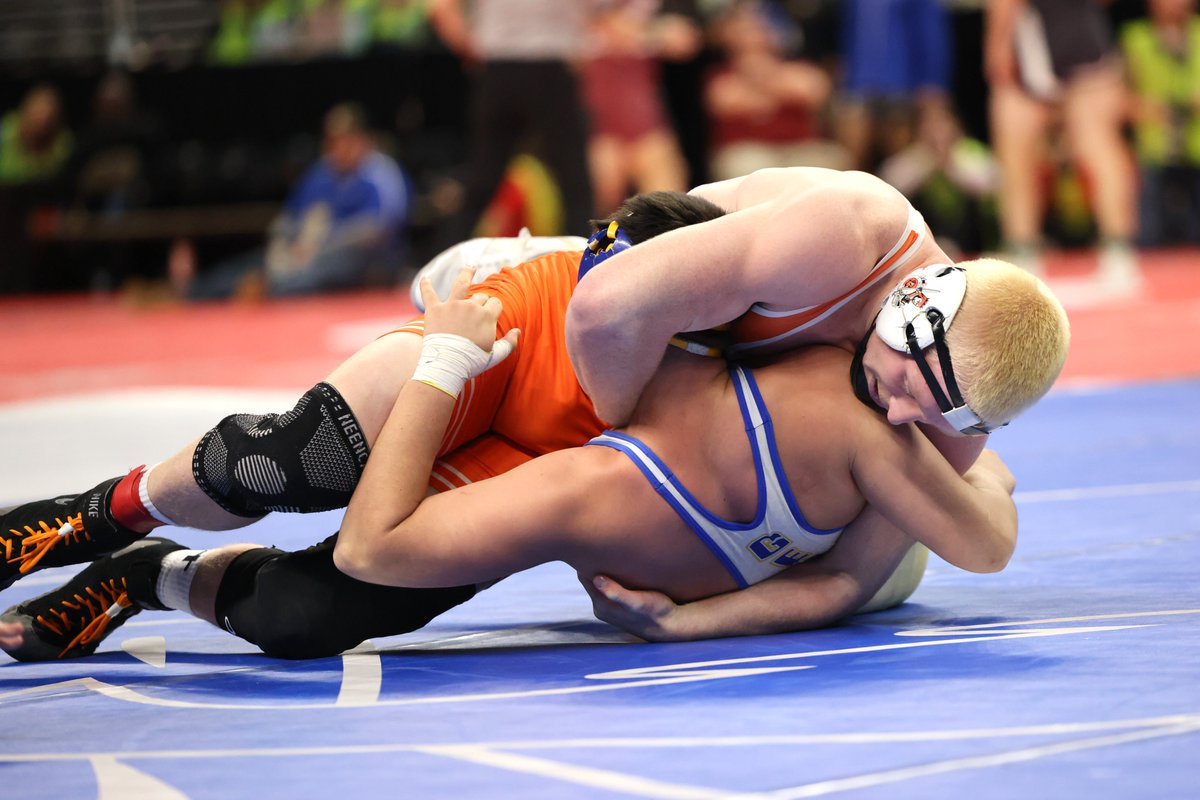 Luke Nichols tweet media