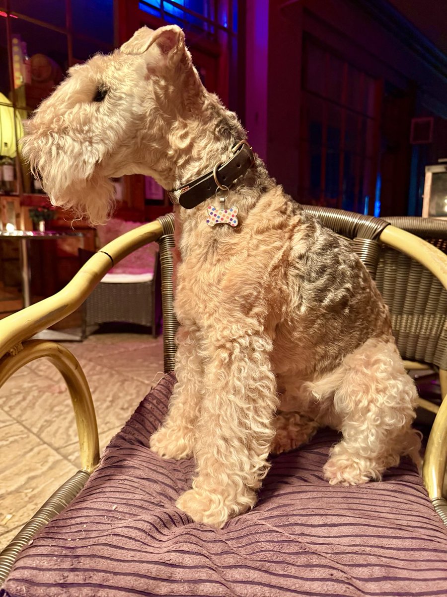 Bertie Lakeland tweet media
