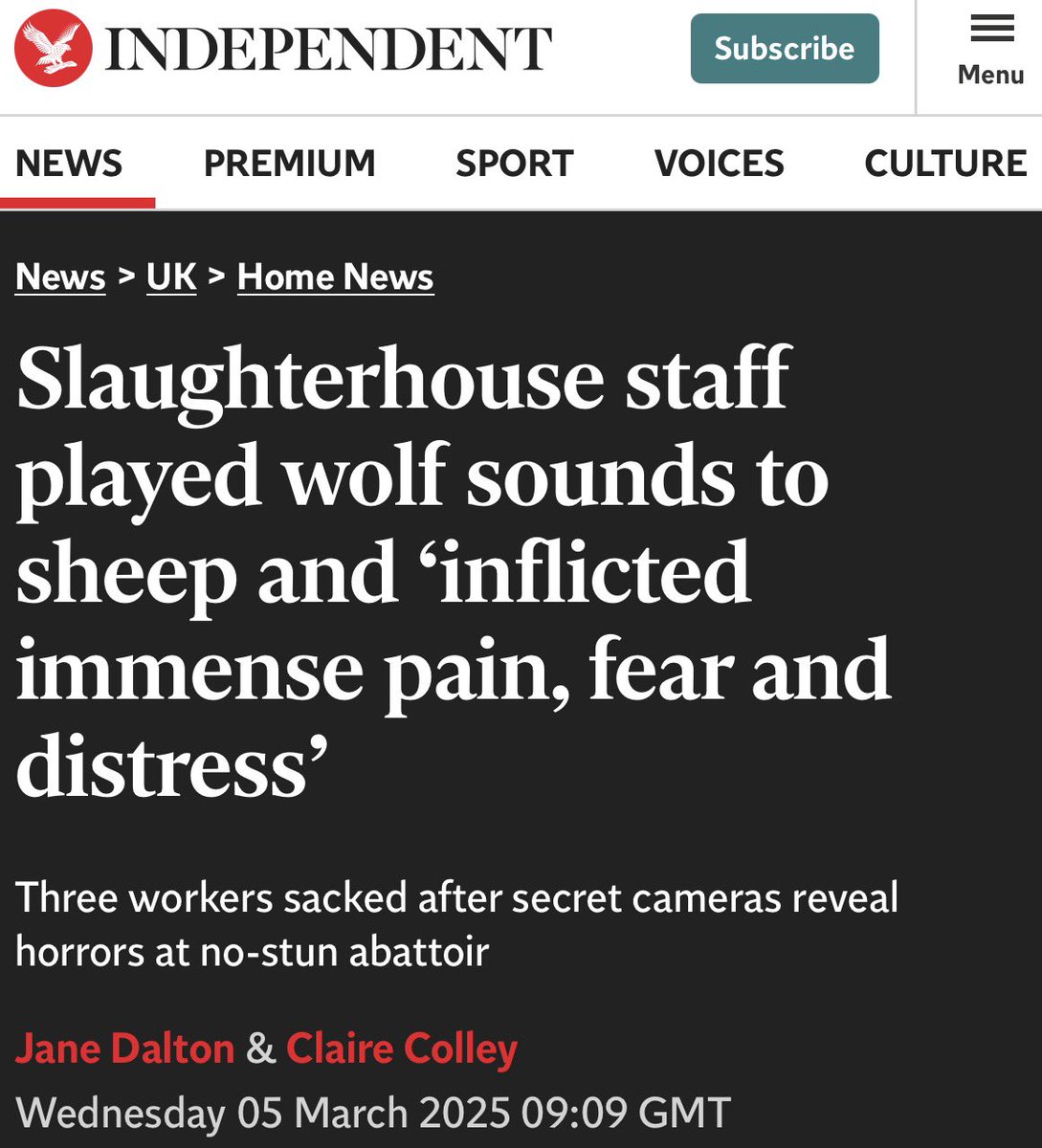 WorldByWolf's tweet image. 🚨A halal slaughterhouse in Warwickshire was found to have done the following in 2025:

➡️Slammed sheep against concrete floors and walls
➡️Played wolf noises on loudspeaker
➡️Some sheep lived for up to 4 minutes after having their necks cut
➡️Doors were slammed into animals