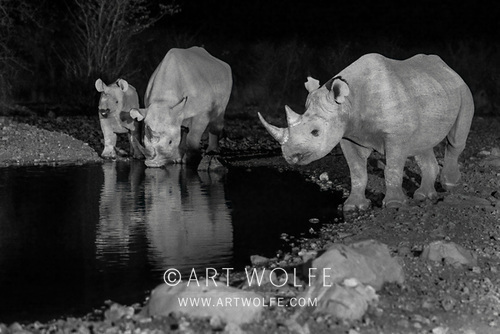 Art Wolfe tweet media