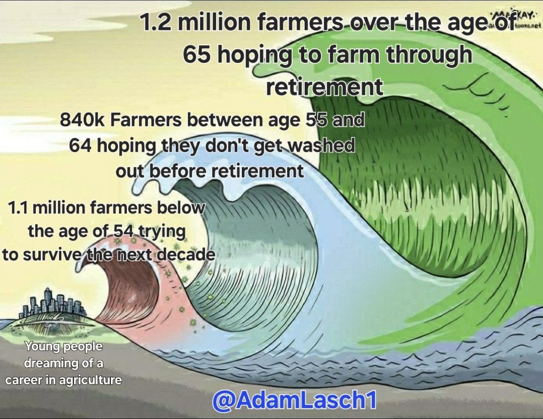 Adam Lasch tweet media