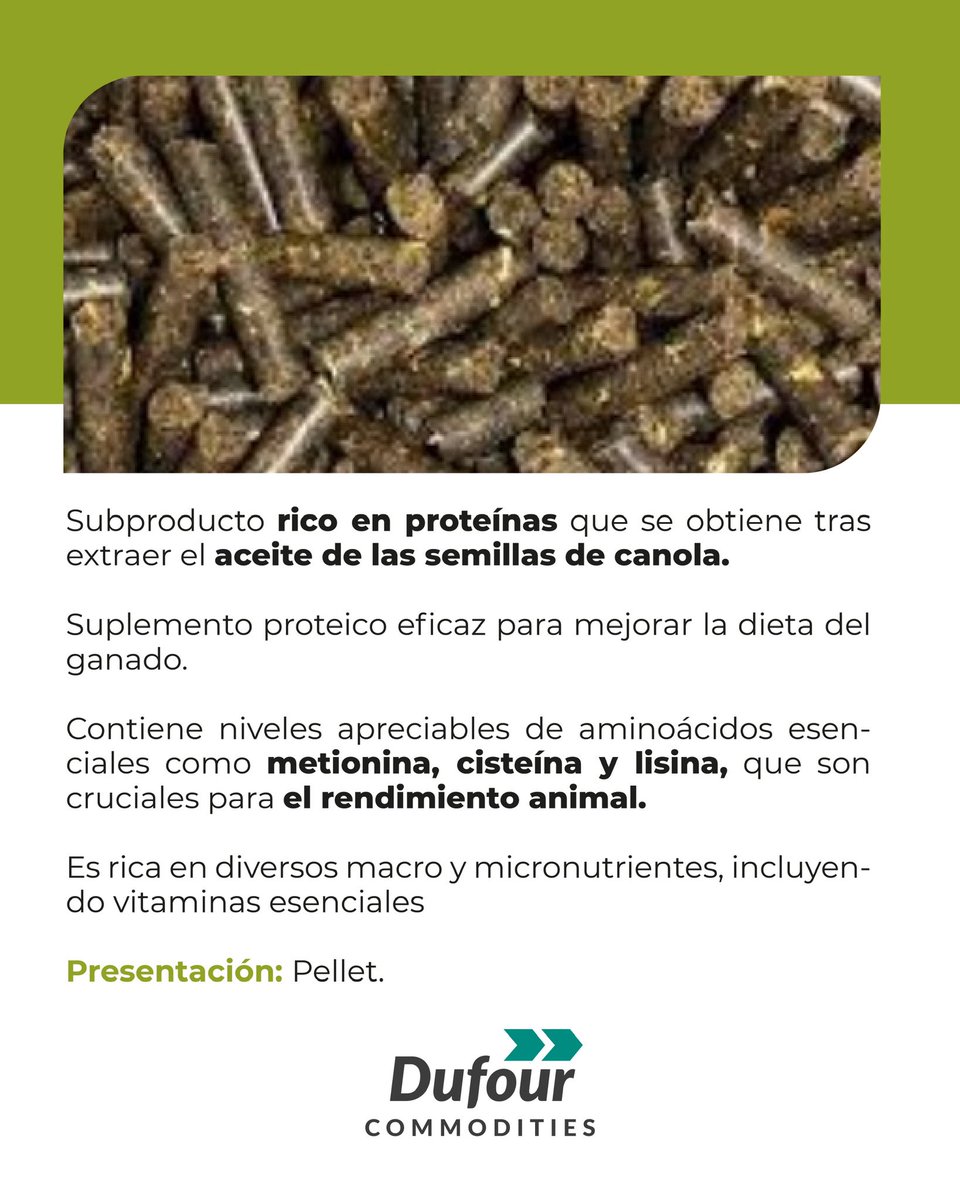 Dufour Commodities tweet media