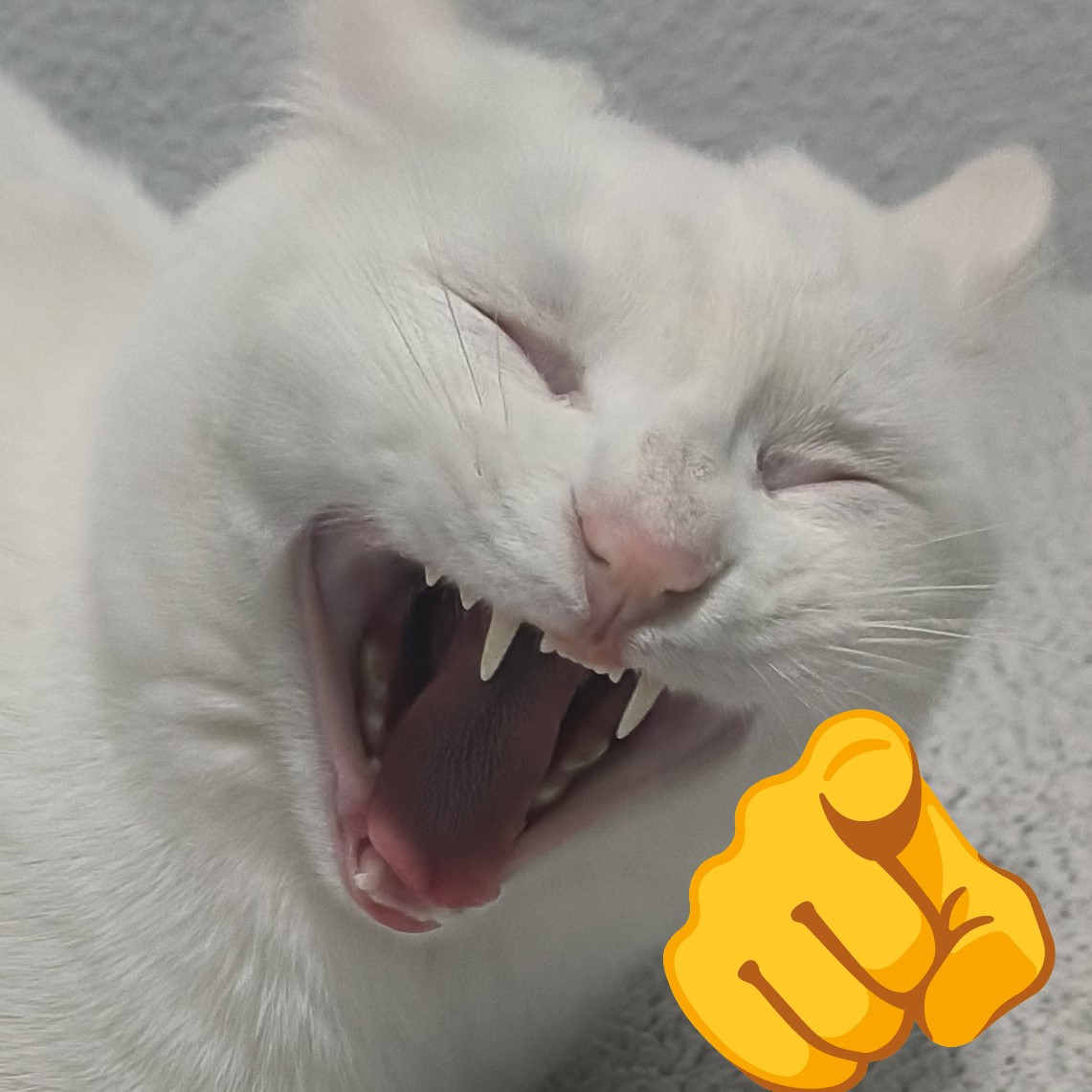 Su mayor evidencia: una imagen hecha por fans