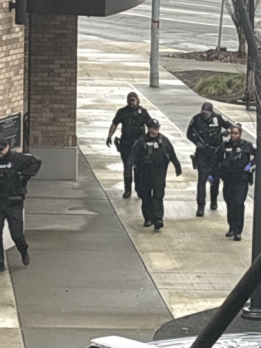 Timothy Emerson tweet media