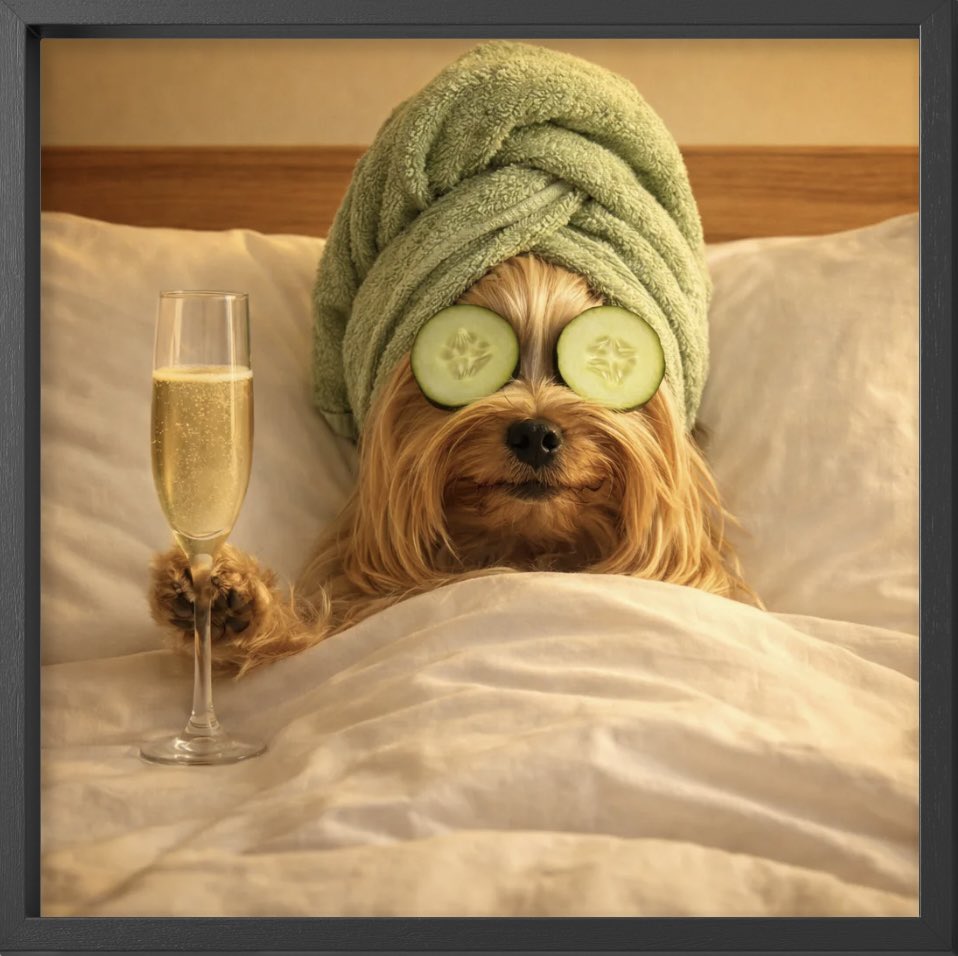 🇺🇸Kalliope🇺🇸 tweet media