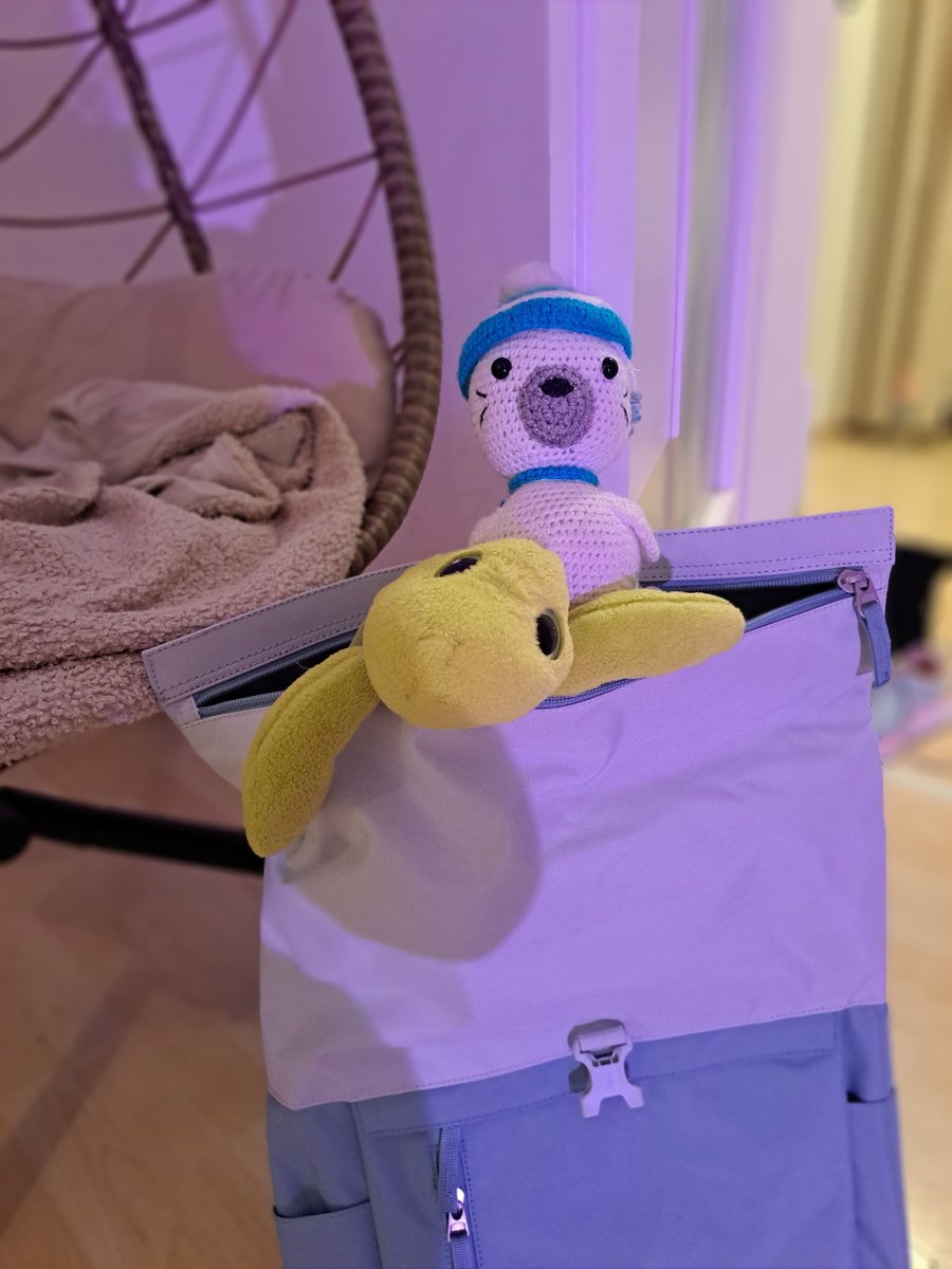 Die Entscheidung ist gefallen. Es gibt wieder Benni-Flocki-Abenteuer in Argentinien. Aber die Umarmerin hat hoch und heilig versprochen, dass wir auch einen kleinen Pinguin mitnehmen, Plüschpinguin natürlich.