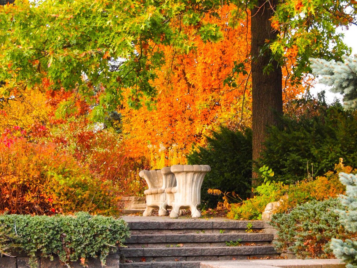 Autumn wedding at The Gardens of Castle Rock - a Minnesota Wedding and Event Center -
📸 thegardensofcr #2025Weddings #MNGardenWedding #InstagramWedding #BeautifulSetting #ThisisNorthfield #MNFallWeddings buff.ly/nJYNH8Z