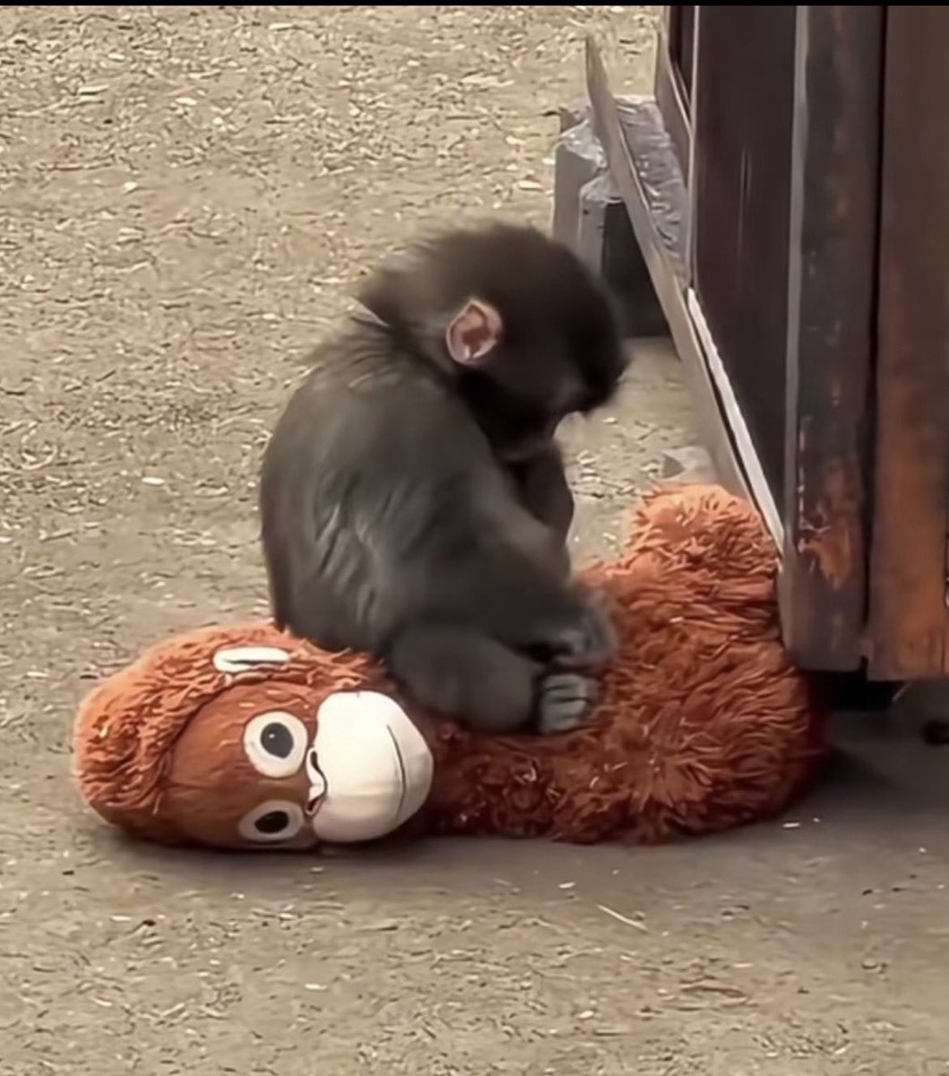 #Punch 
Sanki hiç derdimiz yoktu 
Dışlamayın artık şu çocuğu