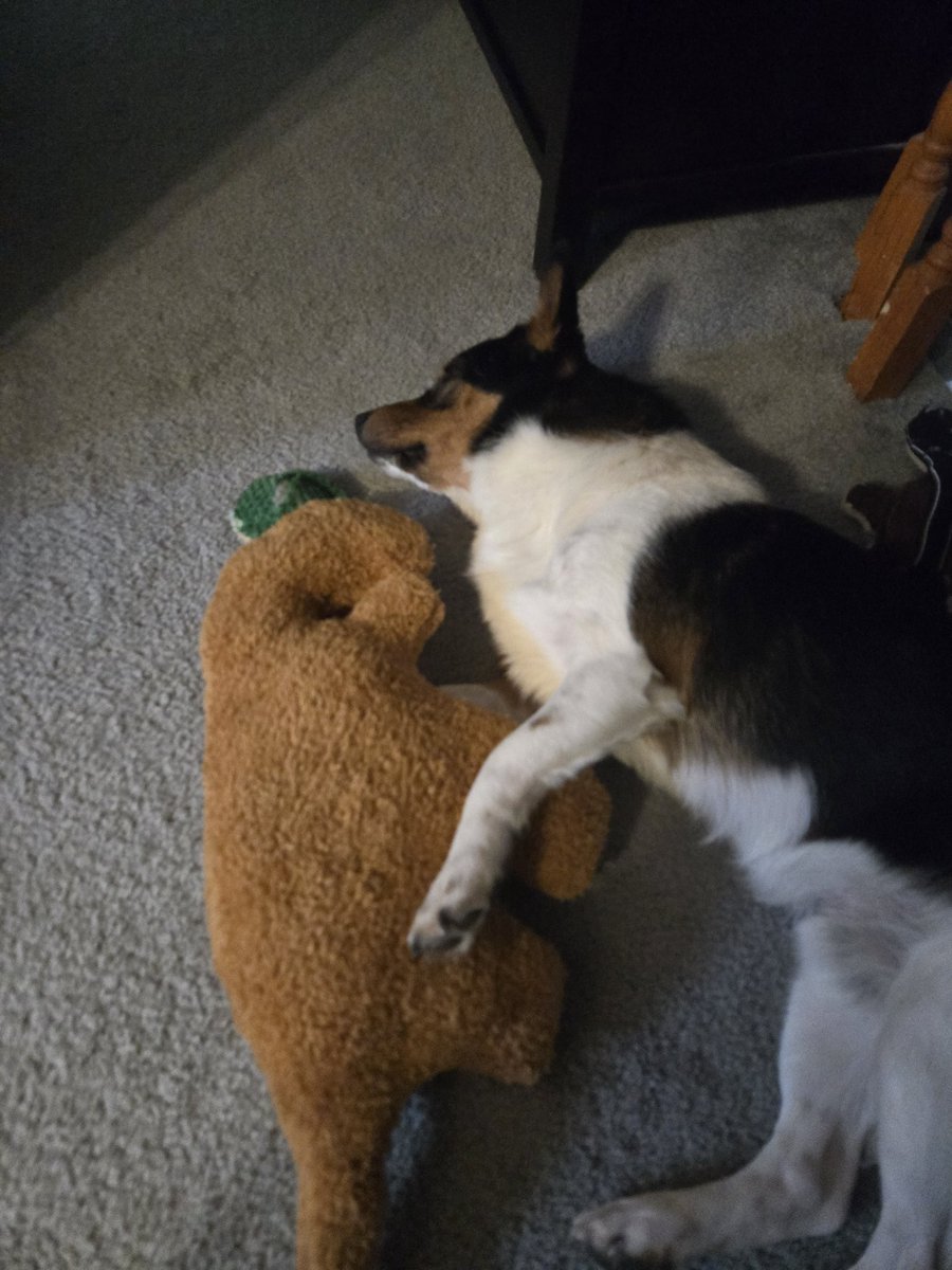 Cookiez 🔜Toronto Comic con tweet media