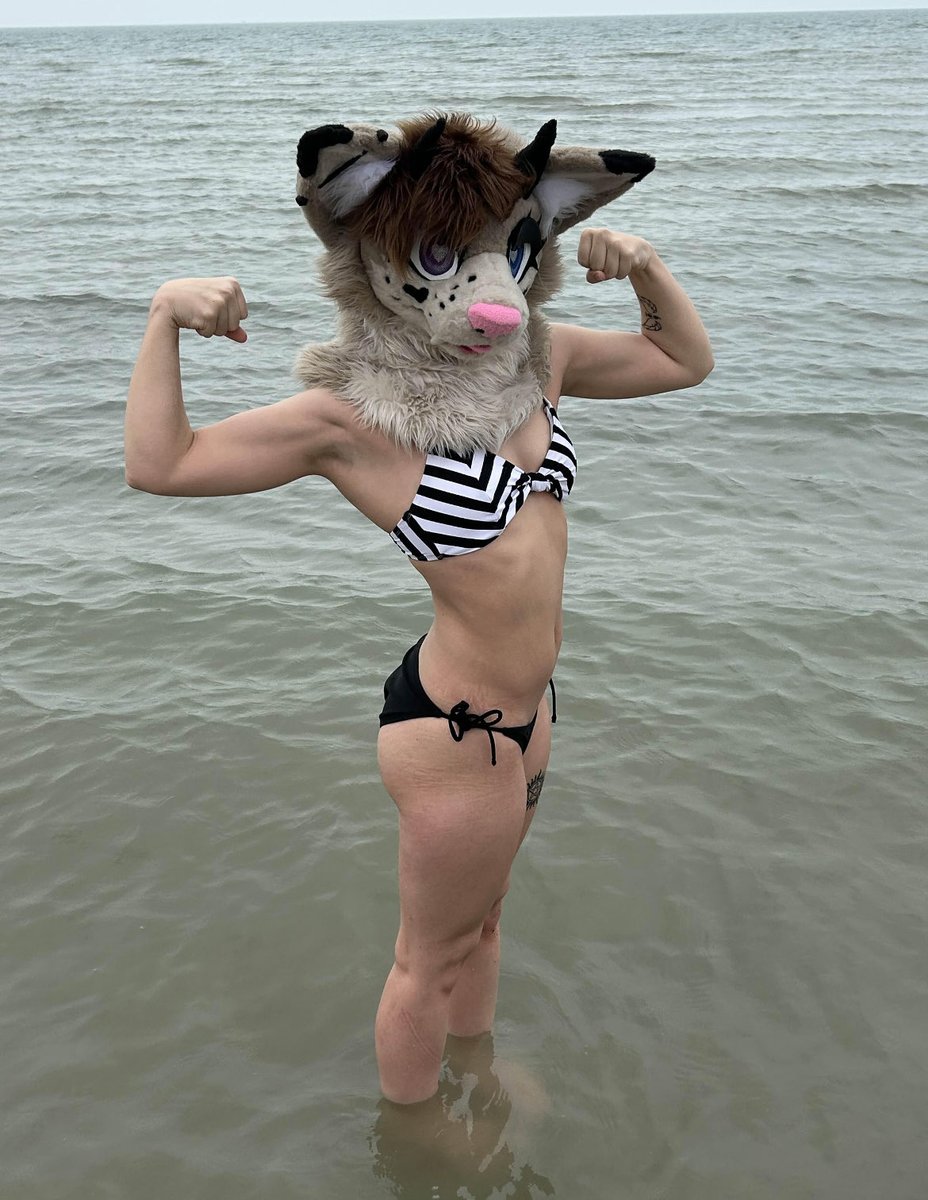 Asterfluffs tweet media