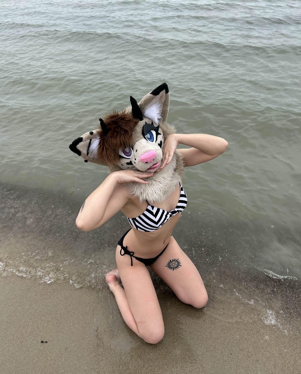 Asterfluffs tweet media