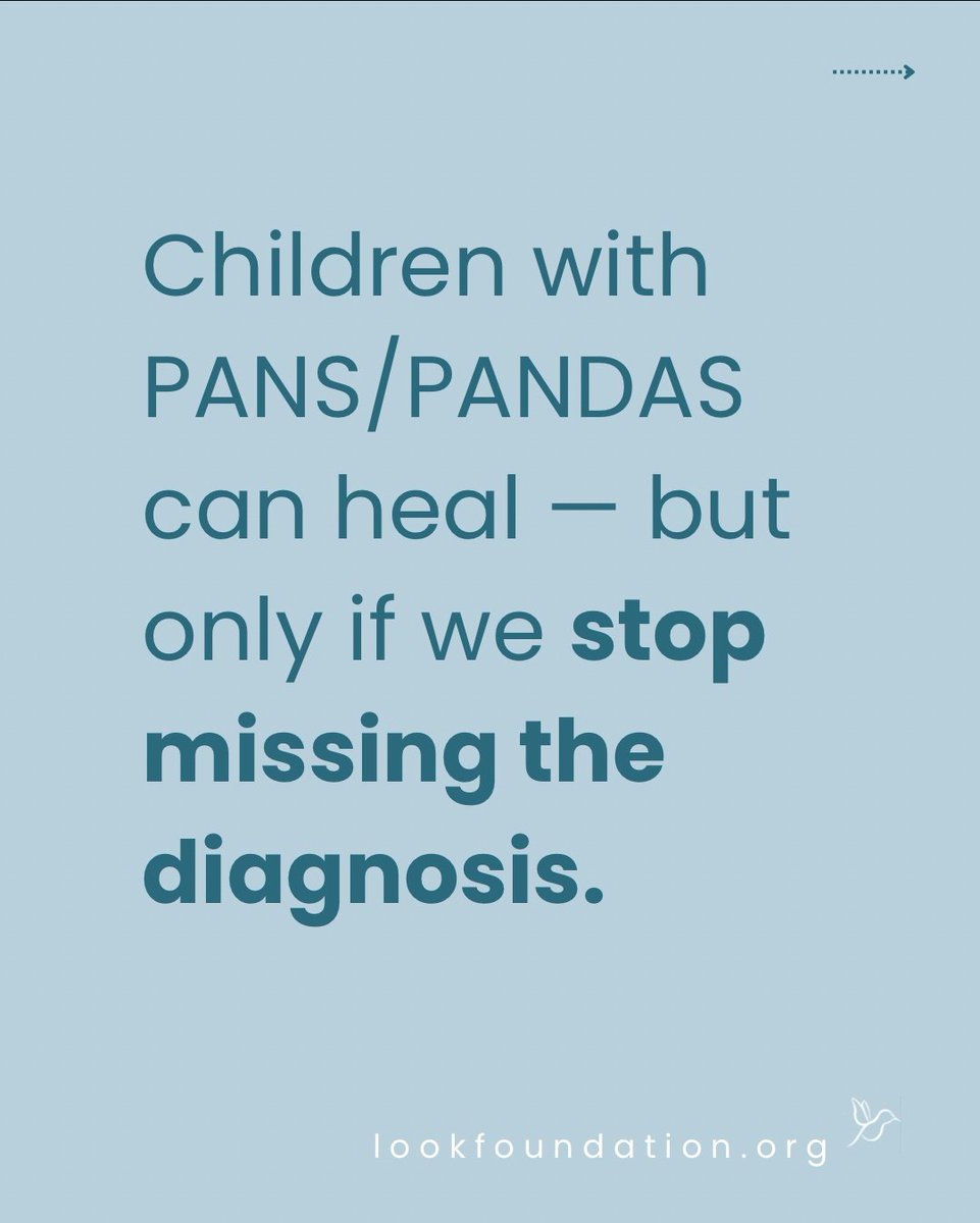 PANDA Mama tweet media